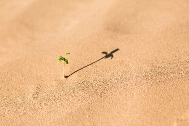 Foto di Evan Kirby